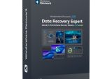 Wondershare Recoverit Data Recovery Expert for Windows Individual (Dig