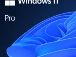 Microsoft Microsoft Windows 11 Pro64BIT DSP