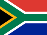 SA Flag Mirror Cover