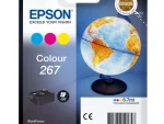 Epson 267 Globe Single Colour Ink - WF-100W