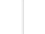 Apple Pencil (USB-C)