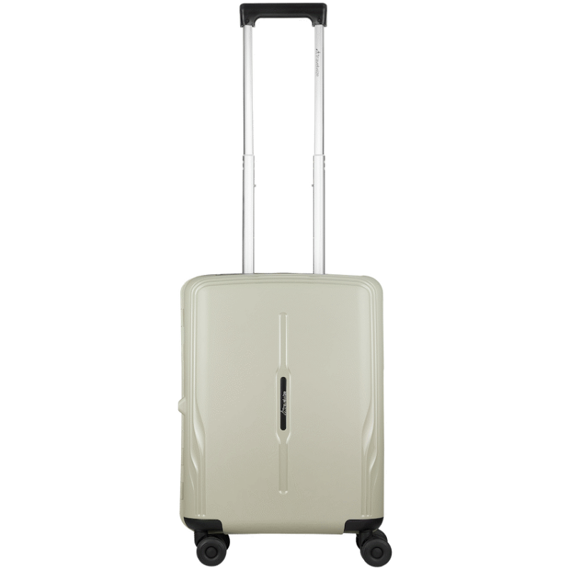 Travelwize Clipper PP 55cm 4-Wheel Spinner Luggage Beige