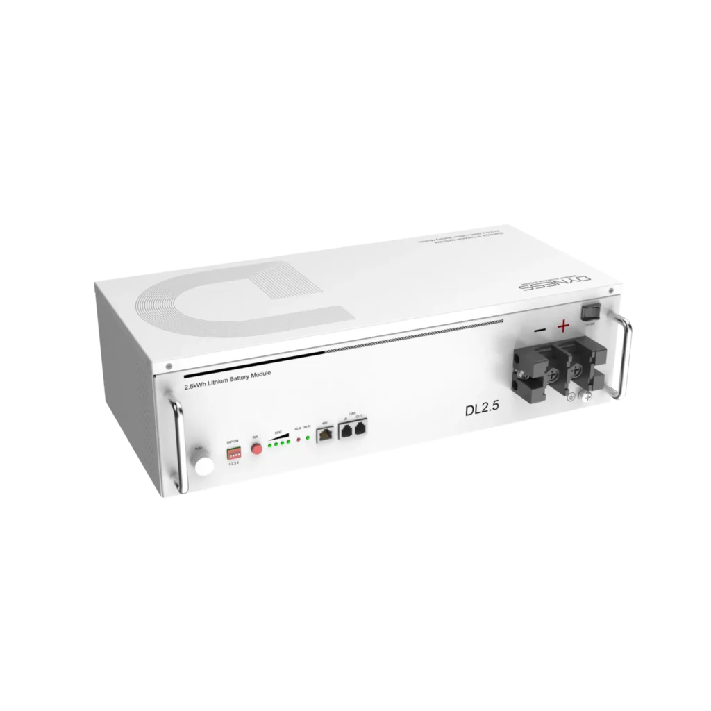 Dyness DL2.5 25.6V 100Ah 2.56kWh LiFePo Battery -5 year warranty