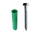 Coach Screw and Plug