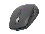 MW30C Mouse Wireless 2.4G+Dual BT Rechargeable