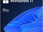 Microsoft Windows 11 Professional 64bit ESD Digital License Key (1 PC)