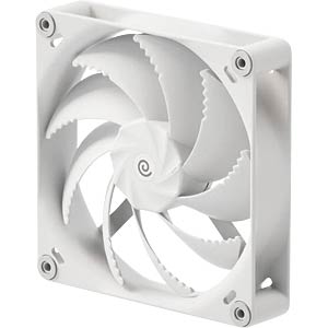 HAVN H14 White Fan